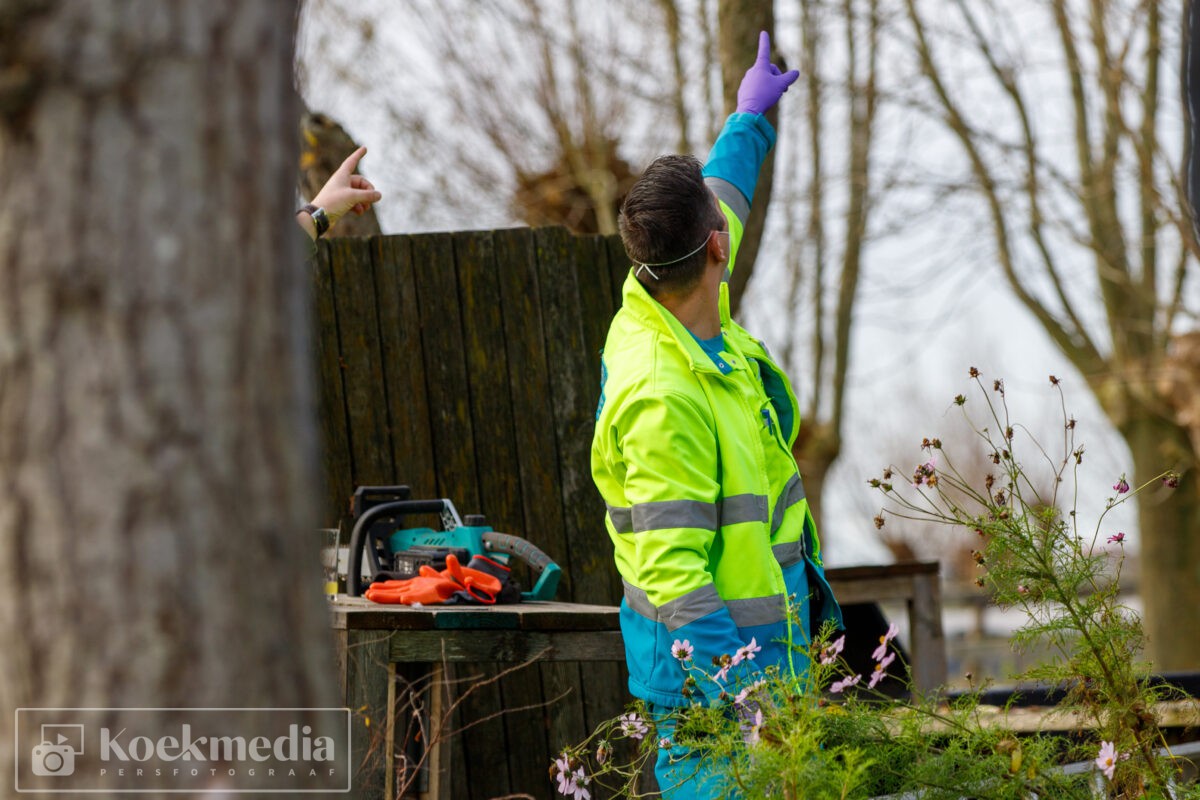 Man valt van ladder bij het snoeien van een boom: Oostgaag- Maasland
